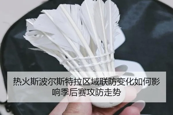 热火斯波尔斯特拉区域联防变化如何影响季后赛攻防走势