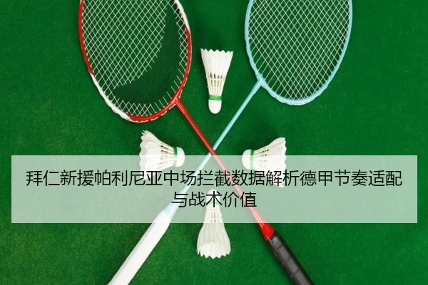 拜仁新援帕利尼亚中场拦截数据解析德甲节奏适配与战术价值