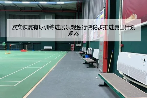 欧文恢复有球训练进展乐观独行侠稳步推进复出计划观察